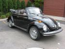 1978 Volkswagen Super Beetle Passenger Profile